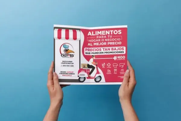 Factura de servicio público